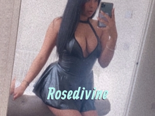 Rosedivine