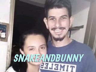 SNAKEANDBUNNY