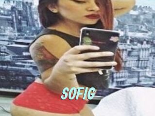 SOFI_G