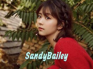 SandyBailey