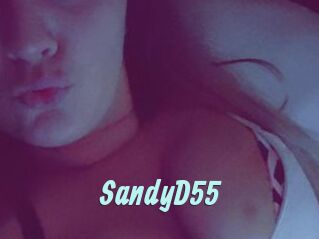 SandyD55