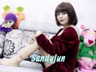 SandyJun