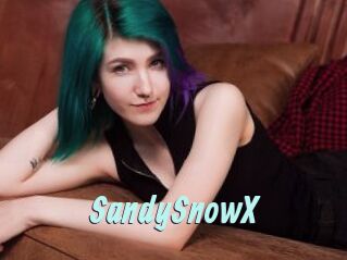 SandySnowX