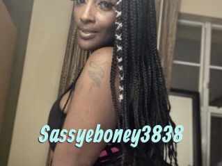 Sassyeboney3838