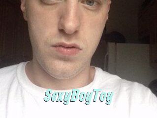 SexyBoyToy