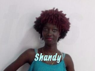 Shandy