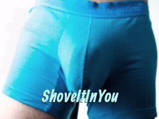 ShoveItInYou