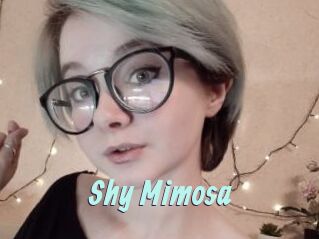 Shy_Mimosa