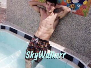 SkyWalkerr