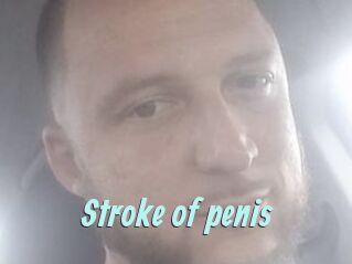 Stroke_of_penis