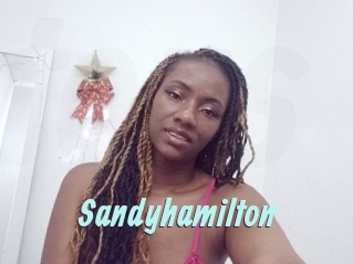 sandyhamilton Ton Show