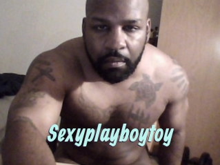 Sexyplayboytoy