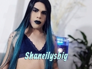 Shaneilysbig