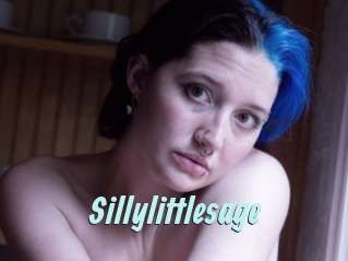 Sillylittlesage