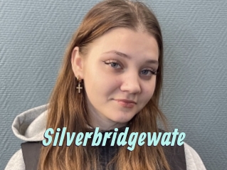 Silverbridgewate