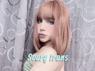 Soary_trans