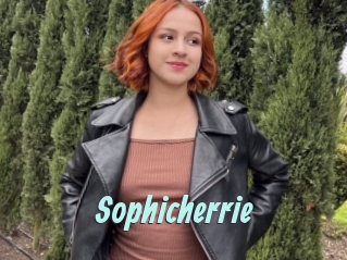 Sophicherrie