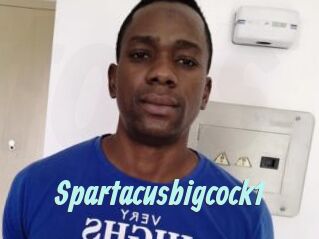 Spartacusbigcock1