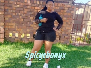 Spicyebonyx