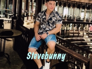 Stevebunny