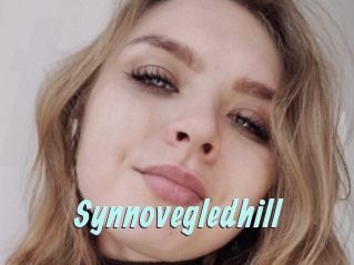 Synnovegledhill