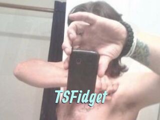 TSFidget