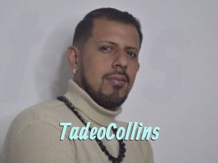 TadeoCollins