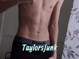 TaylorsJunk