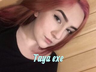 Taya_exe