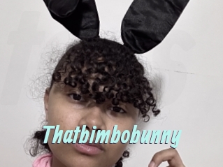 Thatbimbobunny