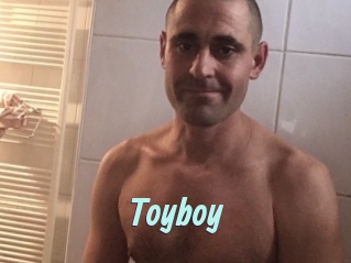 Toyboy