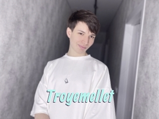 Troyemellet