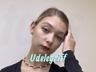 Udelegriff