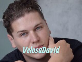 VelosaDavid