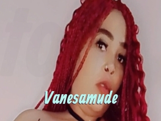 Vanesamude