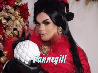 Vannegill