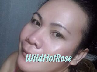 WildHotRose