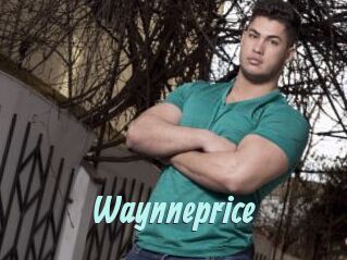 Waynneprice