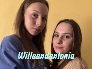 Willaandantonia