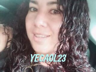 YECAOL23