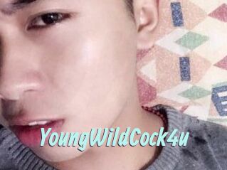 YoungWildCock4u