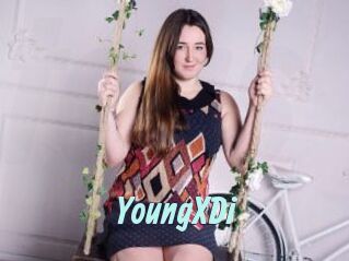 YoungXDi